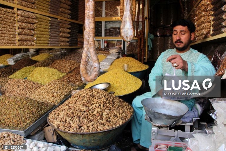 Com o início do inverno, a procura por nozes e frutos secos aumenta, impulsionada pelos hábitos de consumo sazonais. Esse aumento destaca o papel essencial das nozes e frutos secos na dieta durante os meses mais frios do Afeganistão.