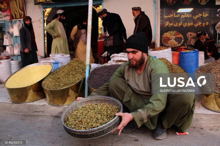 Com o início do inverno, a procura por nozes e frutos secos aumenta, impulsionada pelos hábitos de consumo sazonais. Esse aumento destaca o papel essencial das nozes e frutos secos na dieta durante os meses mais frios do Afeganistão.