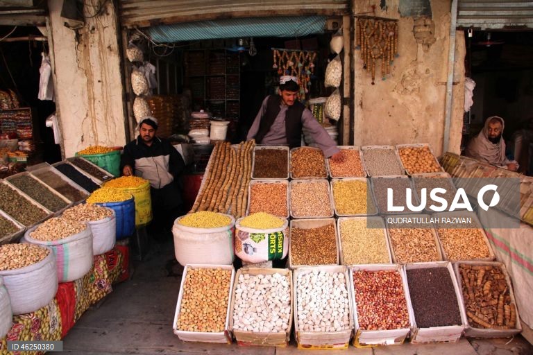 Com o início do inverno, a procura por nozes e frutos secos aumenta, impulsionada pelos hábitos de consumo sazonais. Esse aumento destaca o papel essencial das nozes e frutos secos na dieta durante os meses mais frios do Afeganistão.