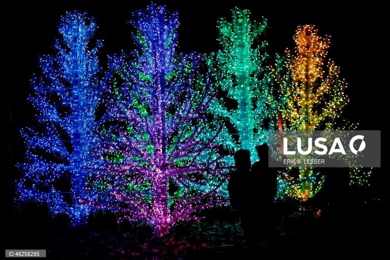 A instalação luminosa «Ice Goddess» é exibida na exposição «Garden Lights, Holiday Nights» do Jardim Botânico de Atlanta, em Atlanta, Geórgia, EUA.