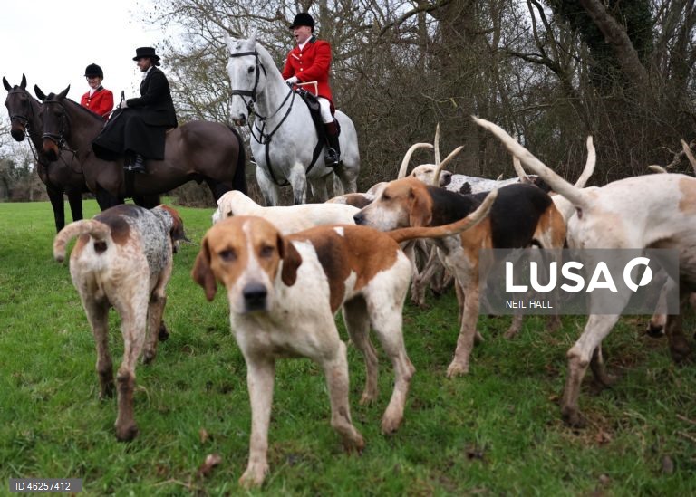 Cavaleiros participam no encontro Old Surrey Burstow e West Kent Boxing Day em Chiddingstone, Grã-Bretanha. A caça com trilhas está prestes a ser proibida na Inglaterra e no País de Gales como parte de uma nova estratégia de bem-estar animal a ser publicada pelo governo do Reino Unido. Desde a proibição da caça à raposa em 2004, caçadas modificadas têm ocorrido usando trilhas perfumadas para os animais seguirem. A caça com cavalos e cães é uma tradição do Boxing Day nas áreas rurais.