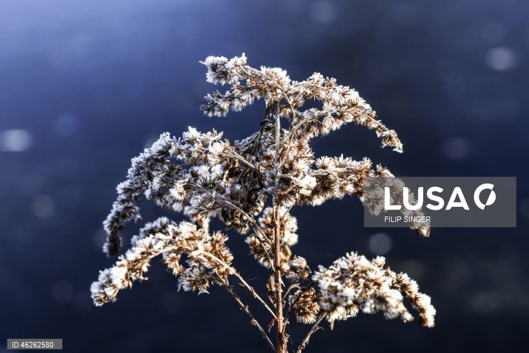 Tempo frio em Berlim.