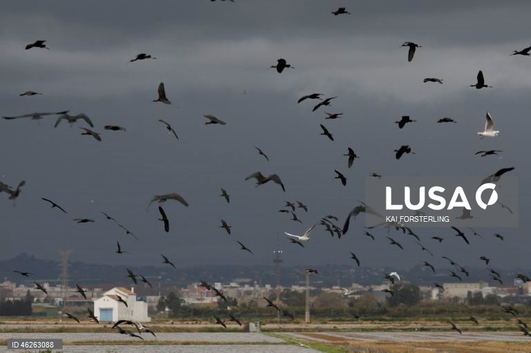 Espanha: Tempestades atingem o leste de Espanha