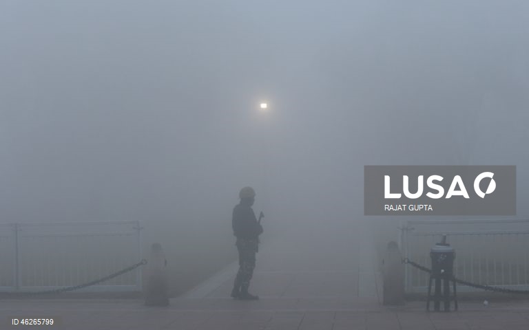 Índia: Uma espessa camada de poluição cobre Nova Deli