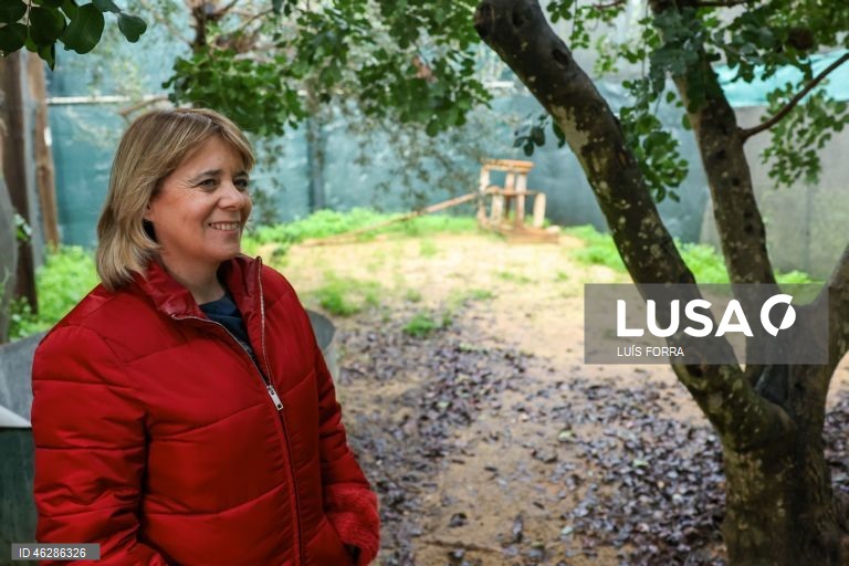 Eleições presidenciais: Primeiro dia de campanha