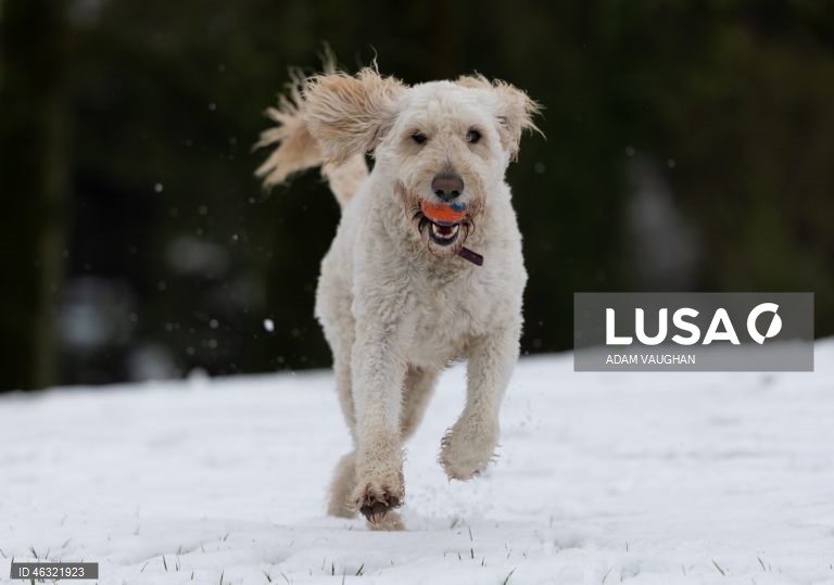 Tempestade Goretti no Reino Unido