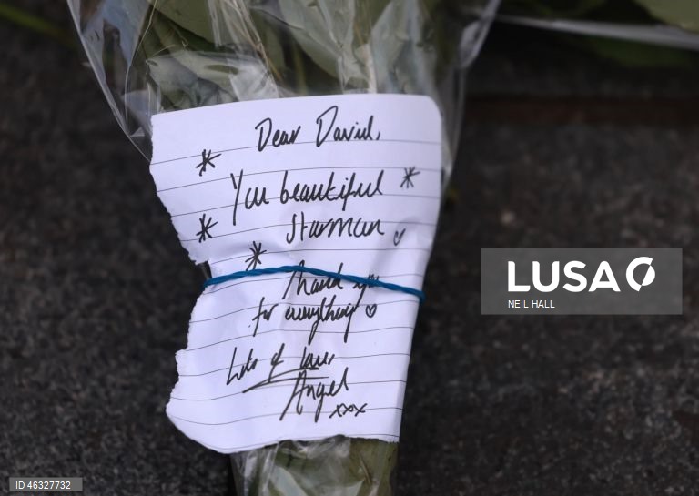 Londres: 10.º aniversário da morte de David Bowie