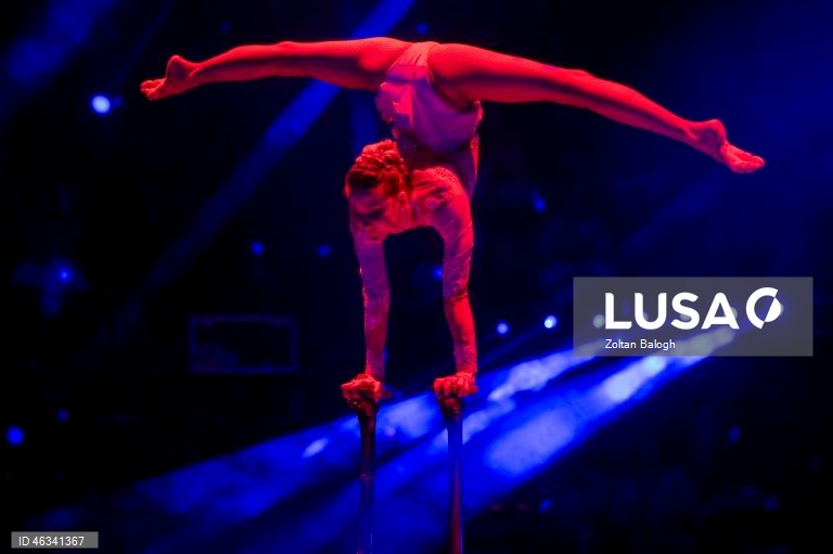 Hungria: Festival Internacional de Circo de Budapeste
