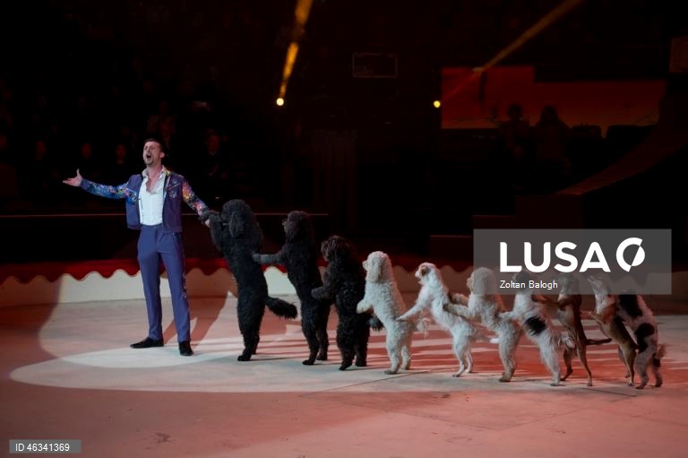 Hungria: Festival Internacional de Circo de Budapeste