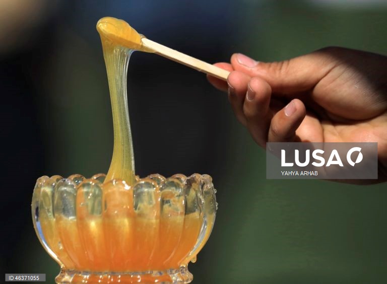 Iémen: Feira de produtos apícolas em Sana