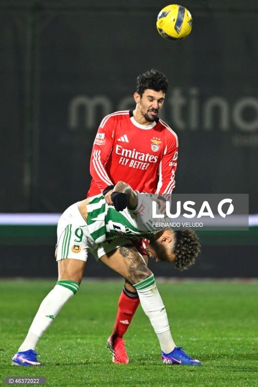 Rio Ave vs Benfica