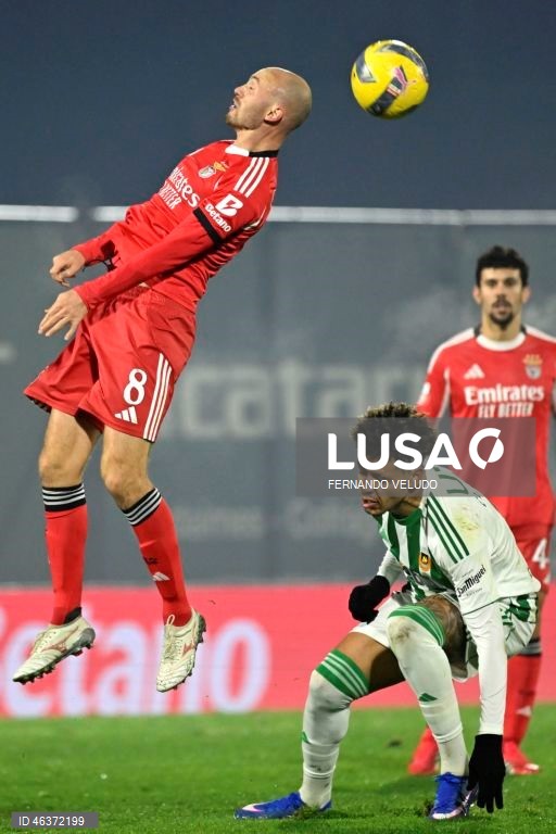 Rio Ave vs Benfica