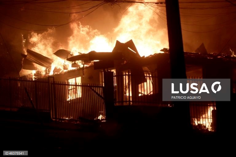 Chile: Incêndios florestais destroem casas em Penco