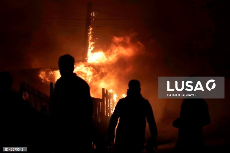 Chile: Incêndios florestais destroem casas em Penco