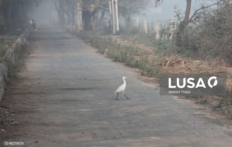 Nova Deli: Aumento do nível de poluição atmosférica