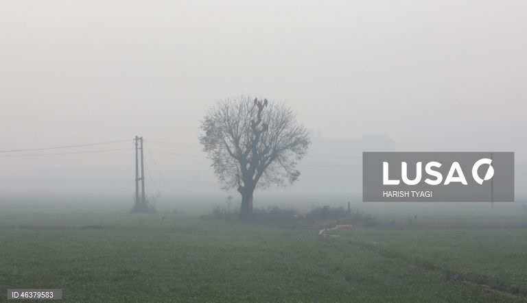 Nova Deli: Aumento do nível de poluição atmosférica