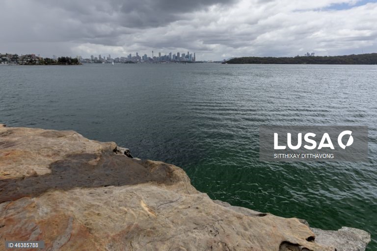 Austrália: Praias fechadas após ataques de tubarões na zona de Sidnei