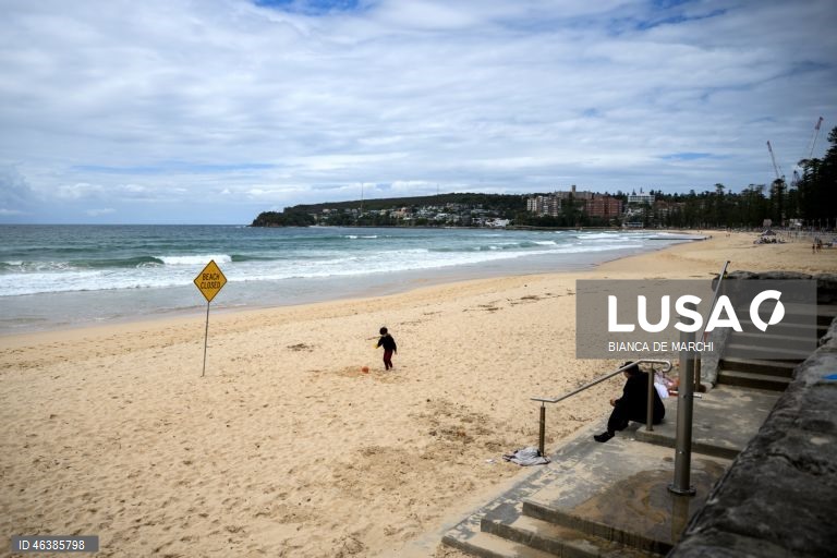 Austrália: Praias fechadas após ataques de tubarões na zona de Sidnei