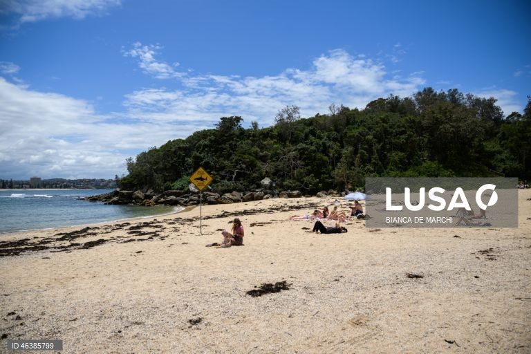 Austrália: Praias fechadas após ataques de tubarões na zona de Sidnei