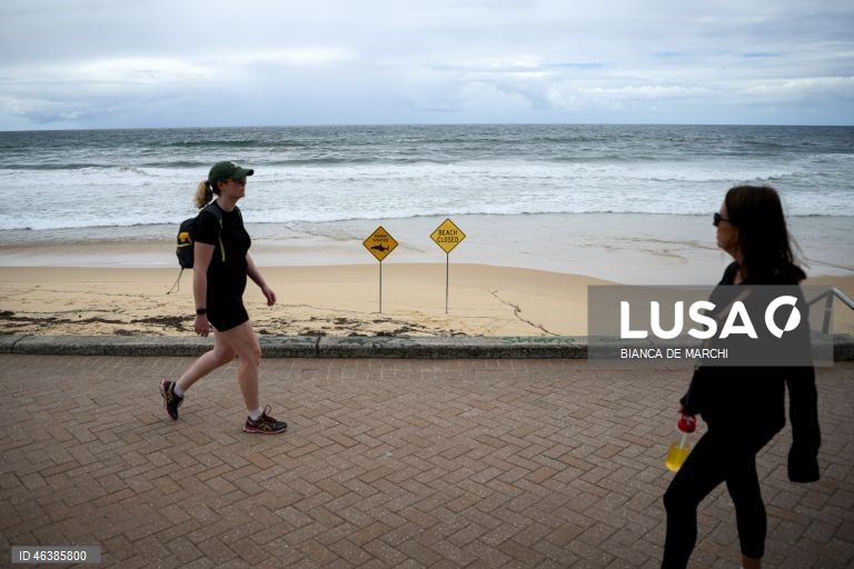 Austrália: Praias fechadas após ataques de tubarões na zona de Sidnei