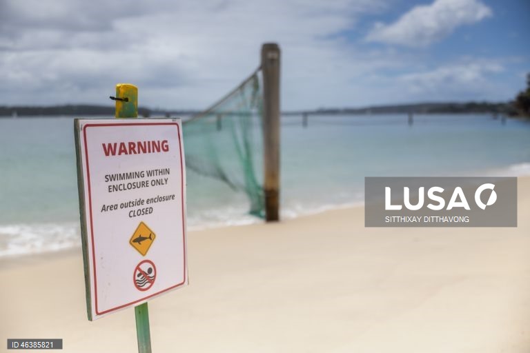 Austrália: Praias fechadas após ataques de tubarões na zona de Sidnei