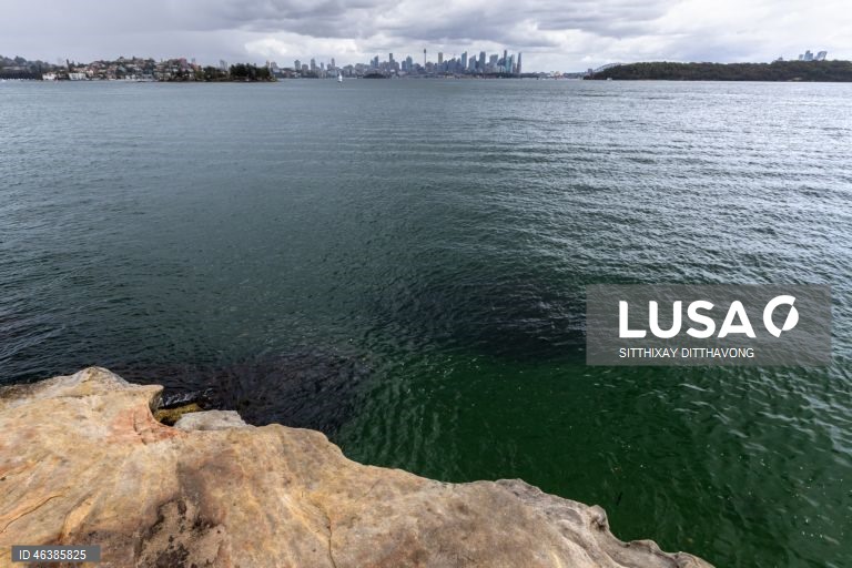 Austrália: Praias fechadas após ataques de tubarões na zona de Sidnei