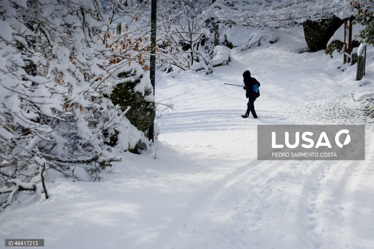 A aldeia do Castelo acordou pintada de branco devido à passagem da depressão Ingrid, no concelho de Vila Pouca de Aguiar, distrito de Vila Real, 24 de janeiro de 2026.  PEDRO SARMENTO COSTA/LUSA