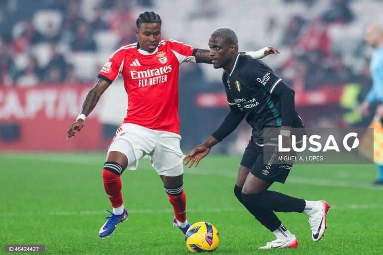 I Liga: Benfica vs Estrela da Amadora