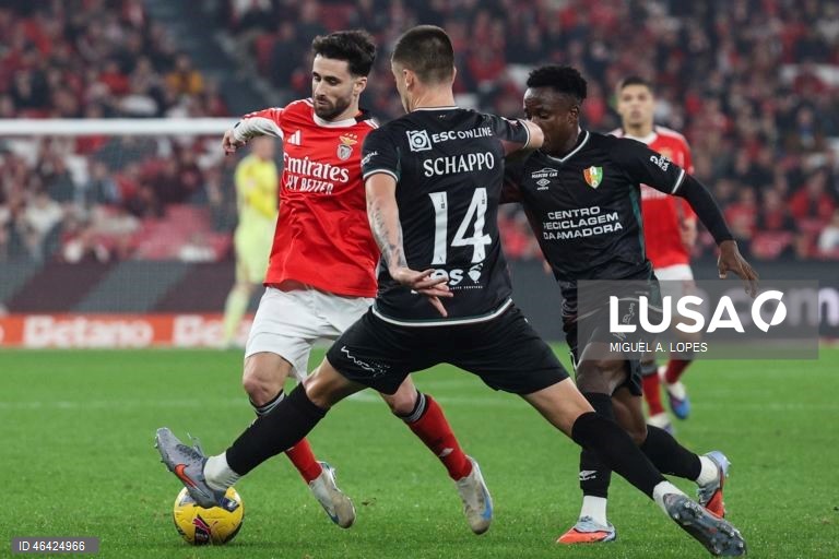 I Liga: Benfica vs Estrela da Amadora