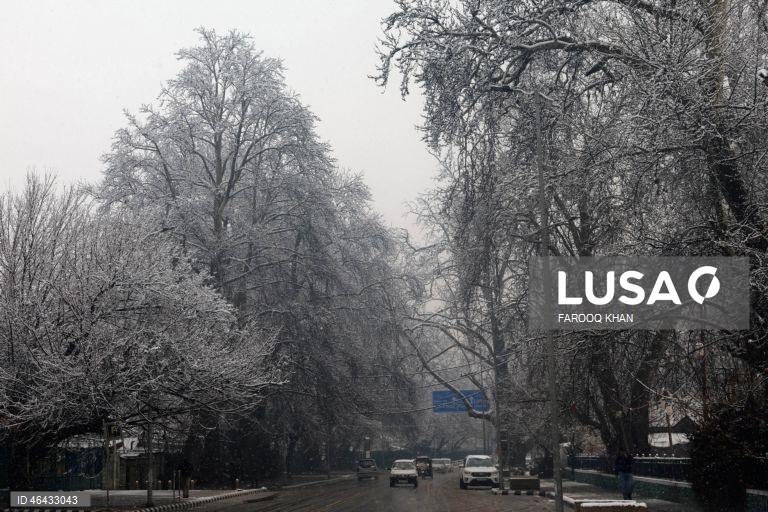 Índia: Neve em Srinagar na Caxemira