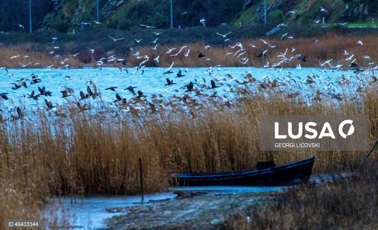 Macedónia do Norte: Lago Dojran