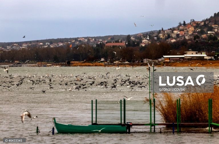 Macedónia do Norte: Lago Dojran