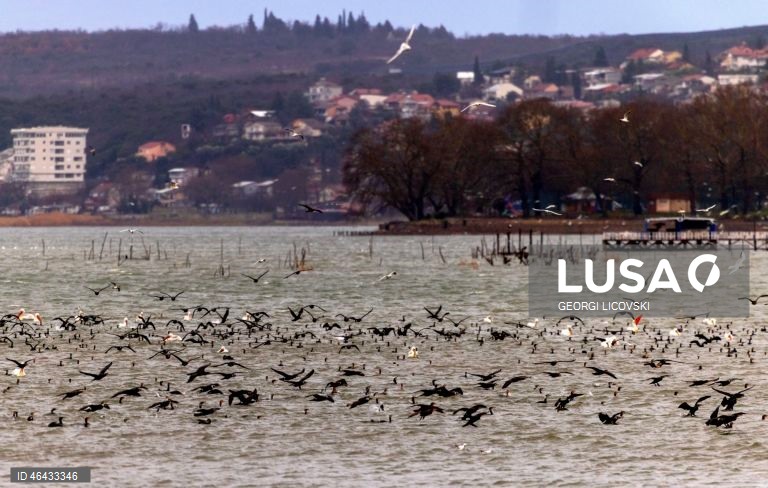 Macedónia do Norte: Lago Dojran