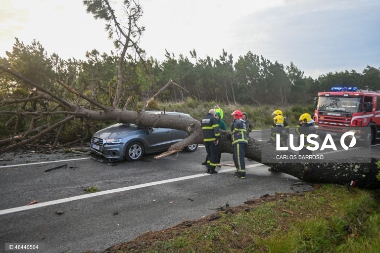 Devido à passagem da depressão Kristin, uma árvore de grande porte caiu sobre uma viatura que circulava na Estrada Atlântica, que liga Salir do Porto e Foz do Arelho, nas Caldas da Rainha, 28 de janeiro de 2026. Portugal continental está a ser afetado pelos efeitos da passagem da depressão Kristin, com chuva, vento, neve e agitação marítima, tendo sido emitidos vários avisos pelo Instituto Português do Mar e da Atmosfera (IPMA). CARLOS BARROSO/LUSA