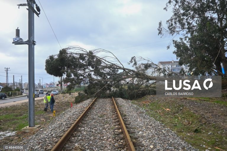 Devido à passagem da depressão Kristin, uma árvore de grande porte caiu sobre a linha de comboio da linha do Oeste, cortando a circulação dos comboios, nas Caldas da Rainha, 28 de janeiro de 2026. Portugal continental está a ser afetado pelos efeitos da passagem da depressão Kristin, com chuva, vento, neve e agitação marítima, tendo sido emitidos vários avisos pelo Instituto Português do Mar e da Atmosfera (IPMA). CARLOS BARROSO/LUSA