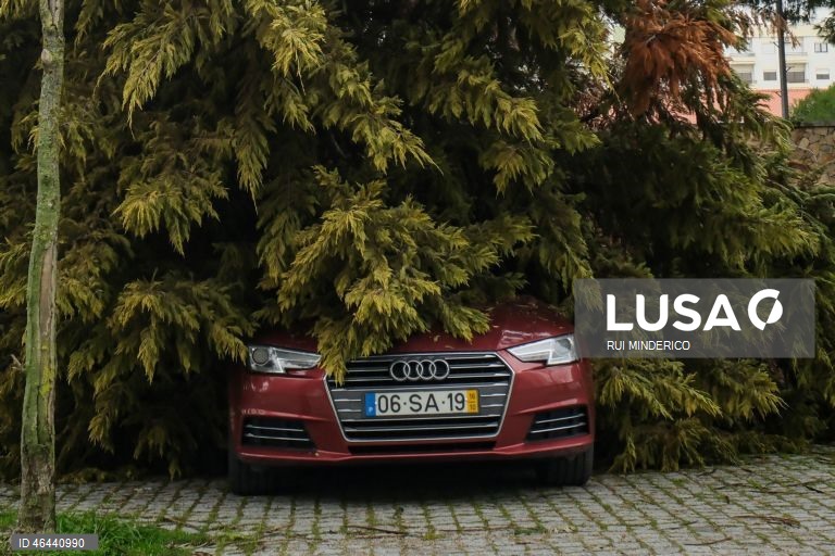 Efeitos do mau tempo devido à passagem da depressão Kristin em Setúbal. Portugal continental está a ser afetado pelos efeitos da passagem da depressão Kristin, com chuva, vento, neve e agitação marítima, tendo sido emitidos vários avisos pelo Instituto Português do Mar e da Atmosfera (IPMA), 28 de janeiro de 2026. RUI MINDERICO/LUSA