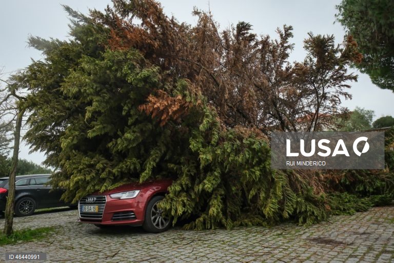 Efeitos do mau tempo devido à passagem da depressão Kristin em Setúbal. Portugal continental está a ser afetado pelos efeitos da passagem da depressão Kristin, com chuva, vento, neve e agitação marítima, tendo sido emitidos vários avisos pelo Instituto Português do Mar e da Atmosfera (IPMA), 28 de janeiro de 2026. RUI MINDERICO/LUSA