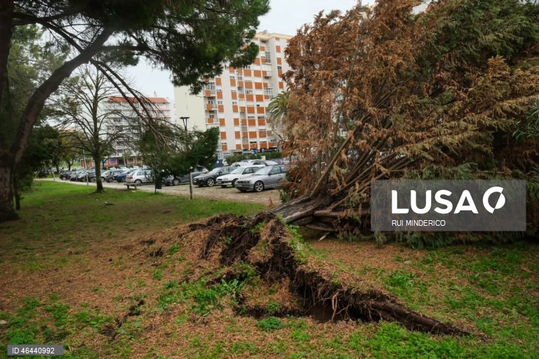 Efeitos do mau tempo devido à passagem da depressão Kristin em Setúbal. Portugal continental está a ser afetado pelos efeitos da passagem da depressão Kristin, com chuva, vento, neve e agitação marítima, tendo sido emitidos vários avisos pelo Instituto Português do Mar e da Atmosfera (IPMA), 28 de janeiro de 2026. RUI MINDERICO/LUSA