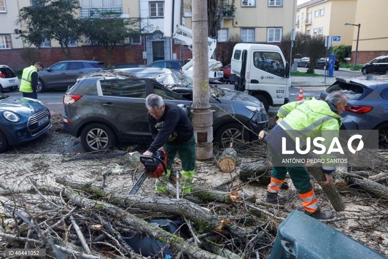 Devido à passagem da depressão Kristin, uma árvore de grande porte caiu causando danos em vários carros, em Lisboa, 28 de janeiro de 2026. Portugal continental está a ser afetado pelos efeitos da passagem da depressão Kristin, com chuva, vento, neve e agitação marítima, tendo sido emitidos vários avisos pelo Instituto Português do Mar e da Atmosfera (IPMA). ANTÓNIO PEDRO SANTOS/LUSA