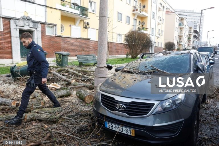 Devido à passagem da depressão Kristin, uma árvore de grande porte caiu causando danos em vários carros, em Lisboa, 28 de janeiro de 2026. Portugal continental está a ser afetado pelos efeitos da passagem da depressão Kristin, com chuva, vento, neve e agitação marítima, tendo sido emitidos vários avisos pelo Instituto Português do Mar e da Atmosfera (IPMA). ANTÓNIO PEDRO SANTOS/LUSA