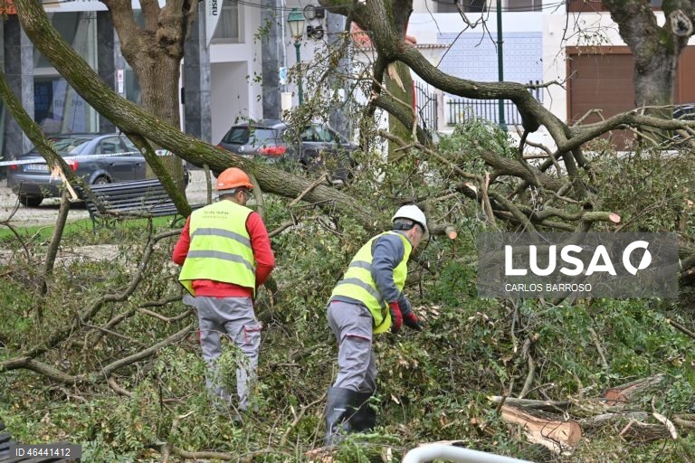 Funcionários camarários cortam uma árvore caiu na via pública, devido à passagem da depressão Kristin, em Torres Vedras, 28 de janeiro de 2026. Portugal continental está a ser afetado pelos efeitos da passagem da depressão Kristin, com chuva, vento, neve e agitação marítima, tendo sido emitidos vários avisos pelo Instituto Português do Mar e da Atmosfera (IPMA). CARLOS BARROSO/LUSA