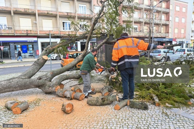 Funcionários camarários cortam uma árvore caiu na via pública, devido à passagem da depressão Kristin, em Torres Vedras, 28 de janeiro de 2026. Portugal continental está a ser afetado pelos efeitos da passagem da depressão Kristin, com chuva, vento, neve e agitação marítima, tendo sido emitidos vários avisos pelo Instituto Português do Mar e da Atmosfera (IPMA). CARLOS BARROSO/LUSA