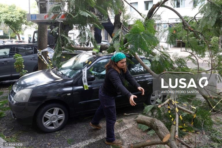 Trabalhadores da Câmara Municipal de Lisboa (CML), retiram uma árvore caída em cima de um automóvel, devido à passagem da depressão Kristin, em Lisboa, 28 de janeiro de 2026. Portugal continental está a ser afetado pelos efeitos da passagem da depressão Kristin, com chuva, vento, neve e agitação marítima, tendo sido emitidos vários avisos pelo Instituto Português do Mar e da Atmosfera (IPMA). ANTÓNIO PEDRO SANTOS/LUSA