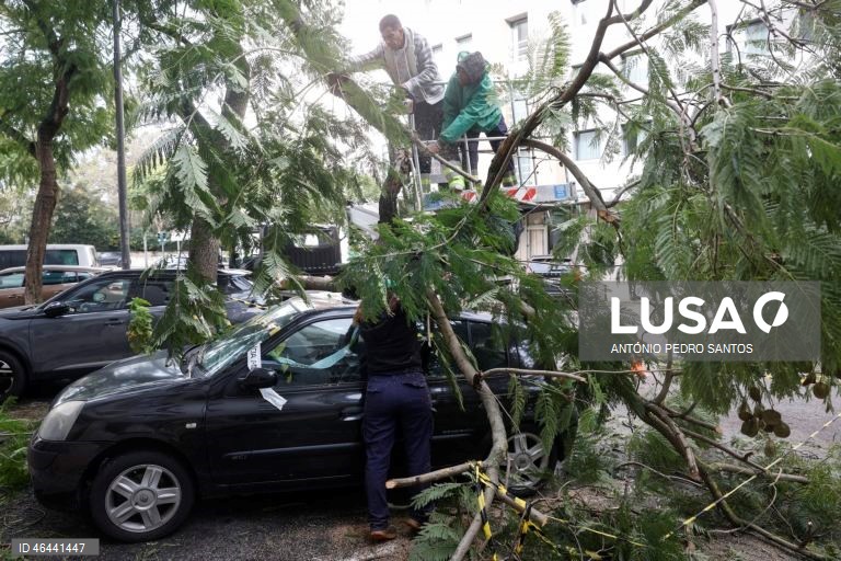 Trabalhadores da Câmara Municipal de Lisboa (CML), retiram uma árvore caída em cima de um automóvel, devido à passagem da depressão Kristin, em Lisboa, 28 de janeiro de 2026. Portugal continental está a ser afetado pelos efeitos da passagem da depressão Kristin, com chuva, vento, neve e agitação marítima, tendo sido emitidos vários avisos pelo Instituto Português do Mar e da Atmosfera (IPMA). ANTÓNIO PEDRO SANTOS/LUSA