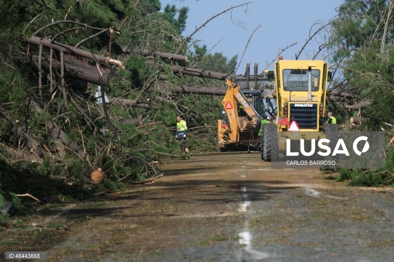 Desobstrução da via devido à queda de árvores, que obrigaram ao corte da estrada nacional 242-4, que liga Pataias à A8, depois da passagem da depressão Kristin, em Pataias, Alcobaça, 28 de janeiro de 2026. Portugal continental está a ser afetado pelos efeitos da passagem da depressão Kristin, com chuva, vento, neve e agitação marítima, tendo sido emitidos vários avisos pelo Instituto Português do Mar e da Atmosfera (IPMA). CARLOS BARROSO/LUSA