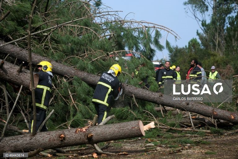 Bombeiros procedem à desobstrução da via devido à queda de árvores, que obrigaram ao corte da estrada nacional 242-4, que liga Pataias à A8, depois da passagem da depressão Kristin, em Pataias, Alcobaça, 28 de janeiro de 2026. Portugal continental está a ser afetado pelos efeitos da passagem da depressão Kristin, com chuva, vento, neve e agitação marítima, tendo sido emitidos vários avisos pelo Instituto Português do Mar e da Atmosfera (IPMA). CARLOS BARROSO/LUSA