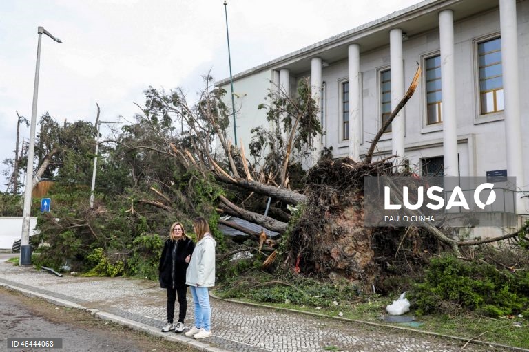 Queda de árvores junto ao tribunal depois da passagem da depressão Kristin, em Leiria, 28 de janeiro de 2026. Portugal continental está a ser afetado pelos efeitos da passagem da depressão Kristin, com chuva, vento, neve e agitação marítima, tendo sido emitidos vários avisos pelo Instituto Português do Mar e da Atmosfera (IPMA). PAULO CUNHA/LUSA