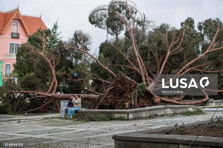 Queda de árvores na praça do Município depois da passagem da depressão Kristin, em Leiria, 28 de janeiro de 2026. Portugal continental está a ser afetado pelos efeitos da passagem da depressão Kristin, com chuva, vento, neve e agitação marítima, tendo sido emitidos vários avisos pelo Instituto Português do Mar e da Atmosfera (IPMA). PAULO CUNHA/LUSA