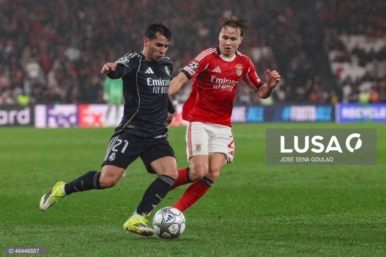 Um golo do guarda-redes Trubin, aos 90+8 minutos, qualificou hoje o Benfica para o play-off de acesso aos oitavos de final da Liga dos Campeões de futebol, garantindo um triunfo por 4-2 sobre o Real Madrid.