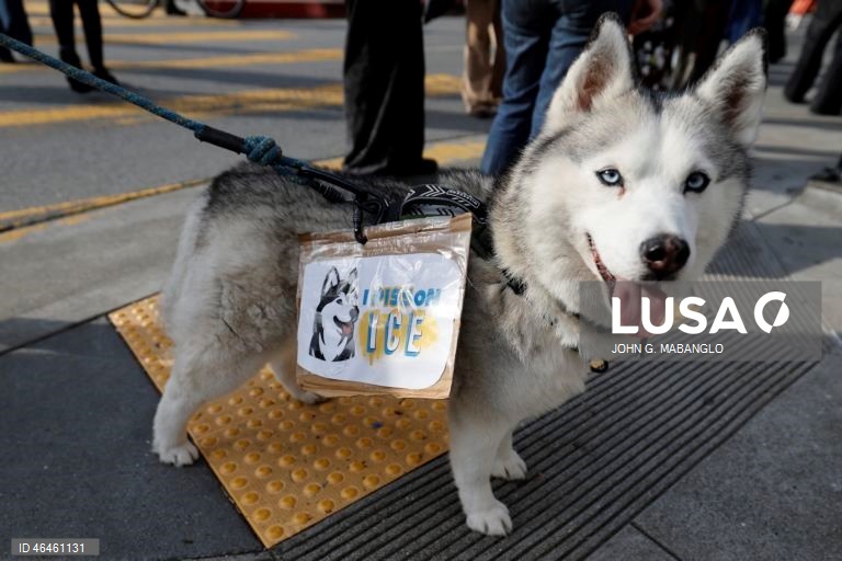 EUA: Manifestação nacional contra o ICE em São Francisco